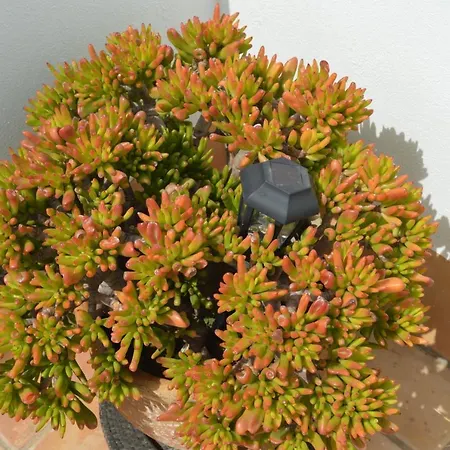 Апартаменти El Mirador De Кадіс