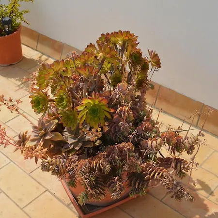 Апартаменти El Mirador De *