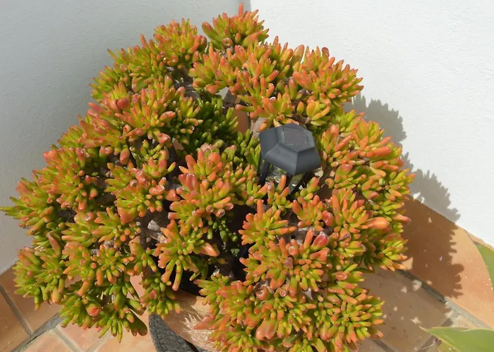 Apartment El Mirador De Cadiz