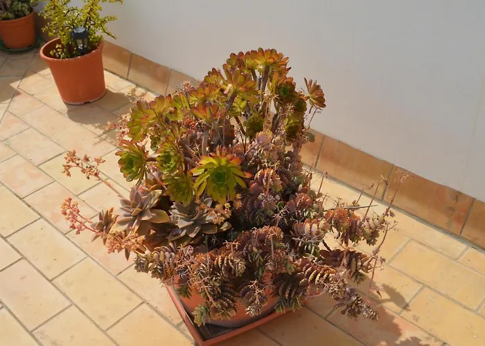 Apartment El Mirador De *