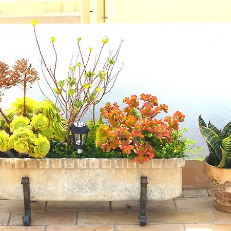 Apartmán El Mirador De