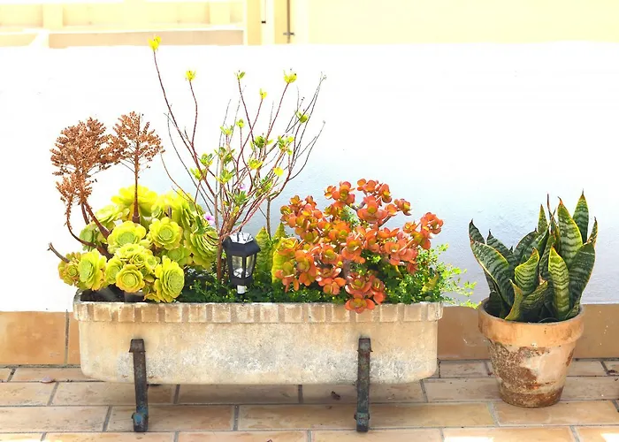 Apartmán El Mirador De